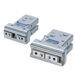 Parallel type NHBDPG with linear guide